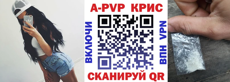 где найти   Великий Устюг  Alfa_PVP СК 