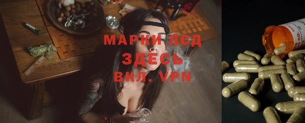 амф Бронницы