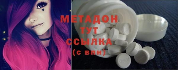 прущие грибы Белокуриха
