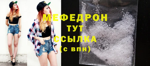 МДПВ Бородино