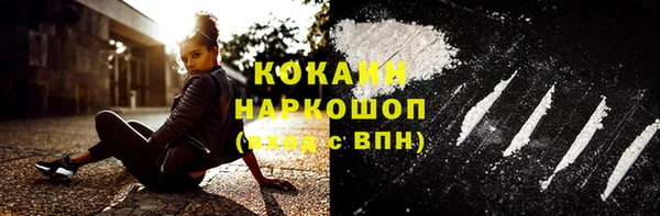 прущие грибы Белокуриха