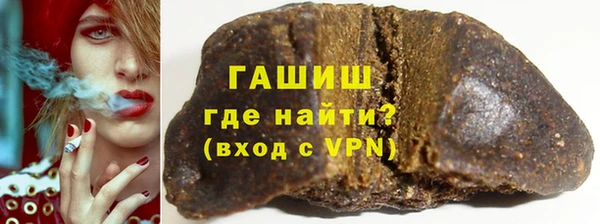 МДПВ Бородино