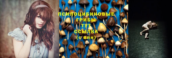 МДПВ Бородино