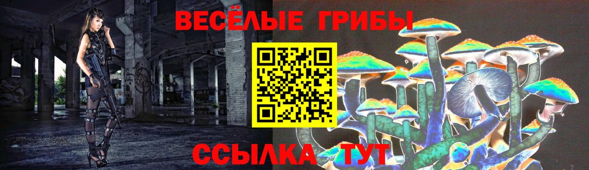 Галлюциногенные грибы мицелий  Вход с VPN  Великий Устюг 