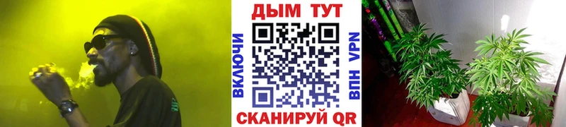 купить закладку  Великий Устюг  Бошки марихуана THC 21% 